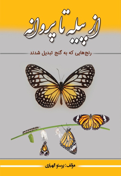 از پیله تا پروانه